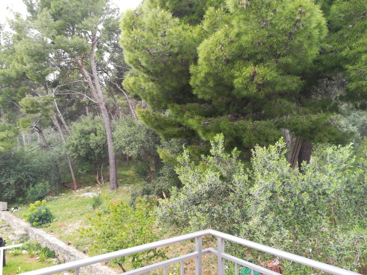 Domenico - 50 M From The Sea