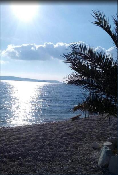 Apartment Domenico - 50 M From The Sea *